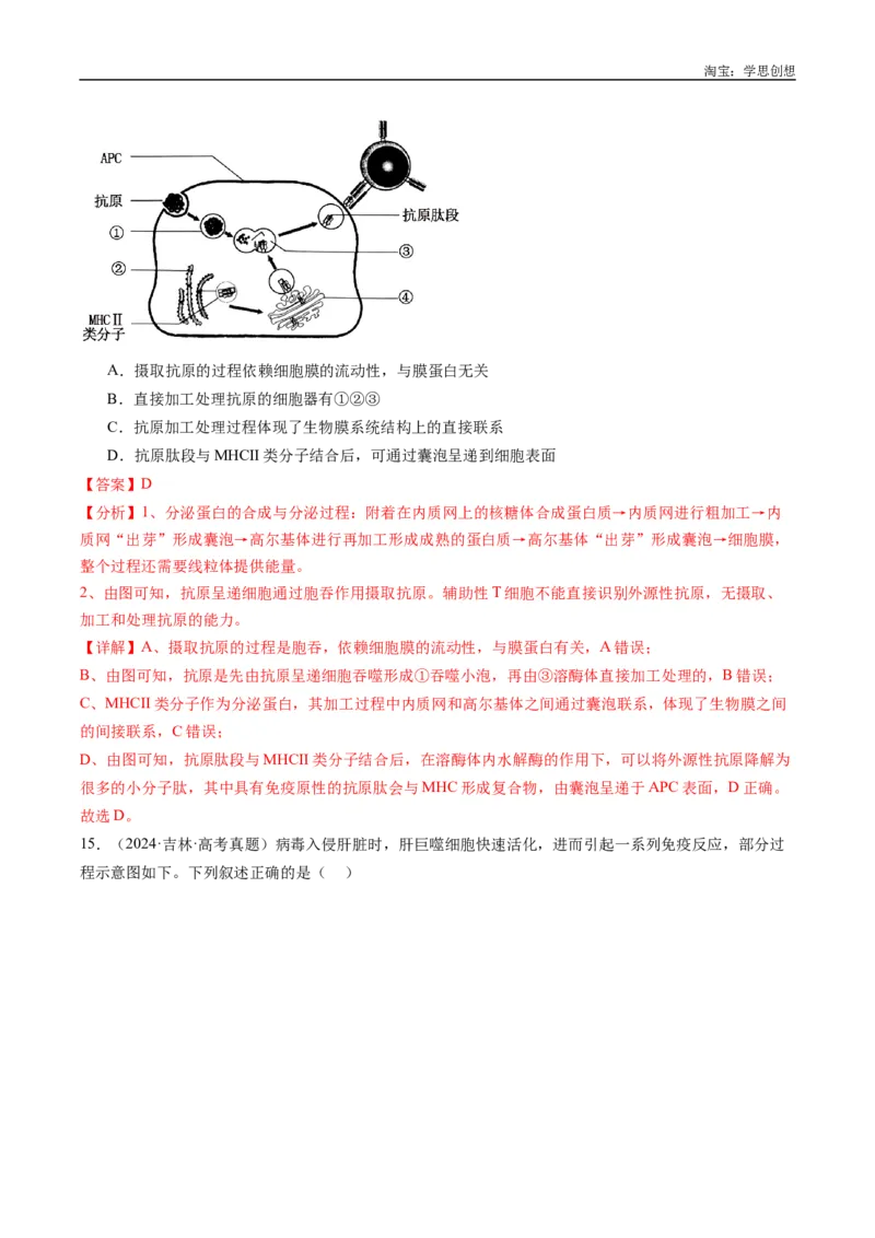 专题20动物生命活动的调节-好题汇编十年（2015-2024）高考生物真题分类汇编（全国通用）（解析版）_生物真题汇总_十年（2014-2024）高考生物真题分项汇编（全国通用）