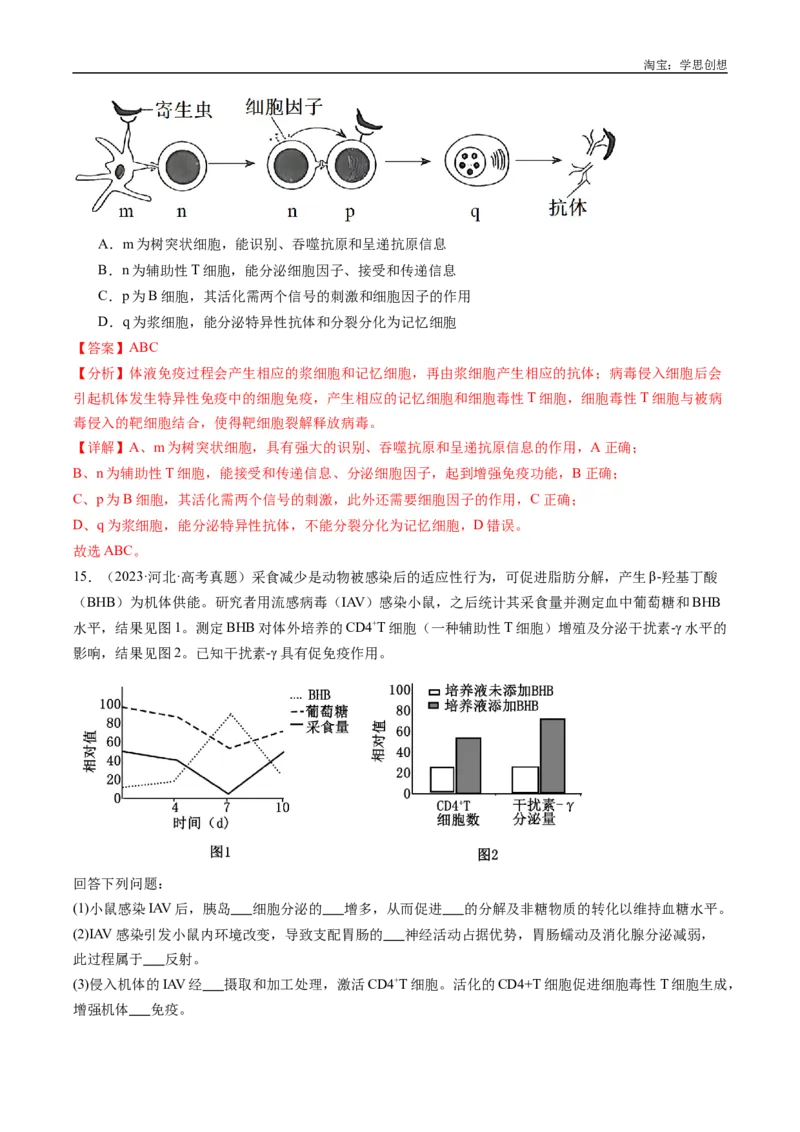 专题20动物生命活动的调节-好题汇编十年（2015-2024）高考生物真题分类汇编（全国通用）（解析版）_生物真题汇总_十年（2014-2024）高考生物真题分项汇编（全国通用）