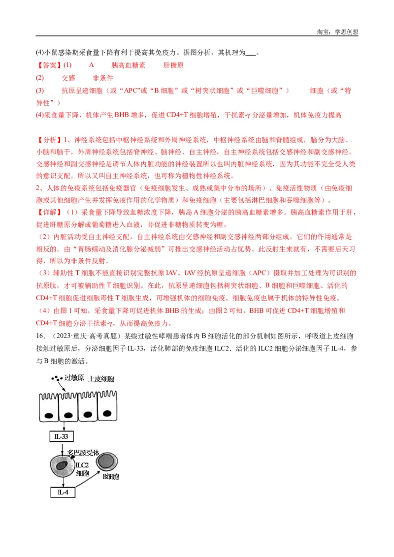 专题20动物生命活动的调节-好题汇编十年（2015-2024）高考生物真题分类汇编（全国通用）（解析版）_生物真题汇总_十年（2014-2024）高考生物真题分项汇编（全国通用）