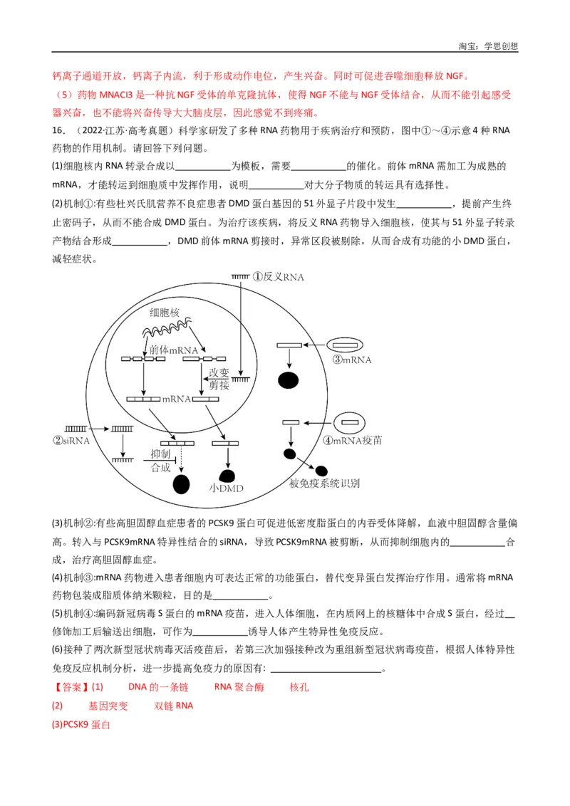 专题20动物生命活动的调节-好题汇编十年（2015-2024）高考生物真题分类汇编（全国通用）（解析版）_生物真题汇总_十年（2014-2024）高考生物真题分项汇编（全国通用）
