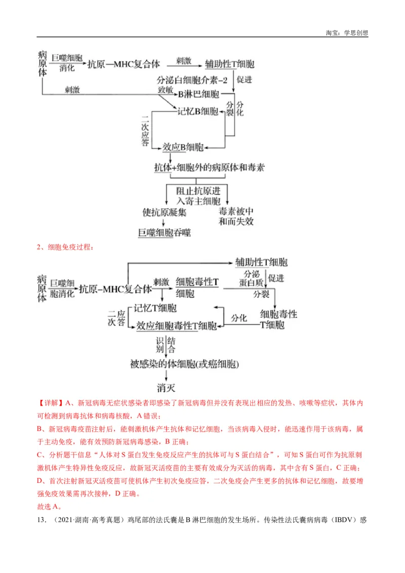 专题20动物生命活动的调节-好题汇编十年（2015-2024）高考生物真题分类汇编（全国通用）（解析版）_生物真题汇总_十年（2014-2024）高考生物真题分项汇编（全国通用）