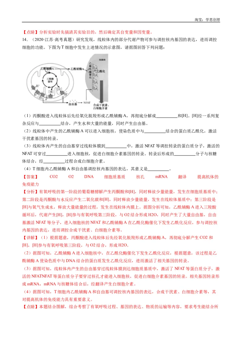 专题20动物生命活动的调节-好题汇编十年（2015-2024）高考生物真题分类汇编（全国通用）（解析版）_生物真题汇总_十年（2014-2024）高考生物真题分项汇编（全国通用）