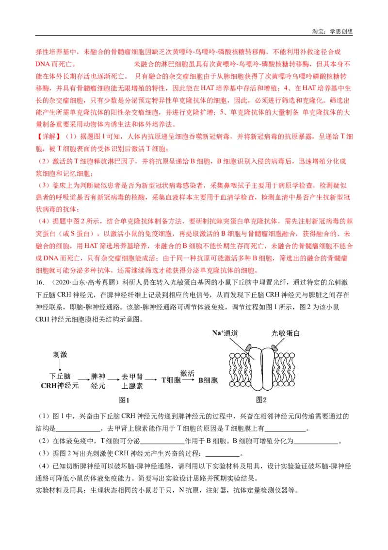 专题20动物生命活动的调节-好题汇编十年（2015-2024）高考生物真题分类汇编（全国通用）（解析版）_生物真题汇总_十年（2014-2024）高考生物真题分项汇编（全国通用）