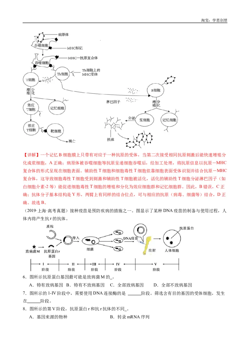 专题20动物生命活动的调节-好题汇编十年（2015-2024）高考生物真题分类汇编（全国通用）（解析版）_生物真题汇总_十年（2014-2024）高考生物真题分项汇编（全国通用）