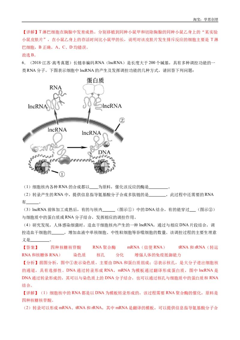 专题20动物生命活动的调节-好题汇编十年（2015-2024）高考生物真题分类汇编（全国通用）（解析版）_生物真题汇总_十年（2014-2024）高考生物真题分项汇编（全国通用）