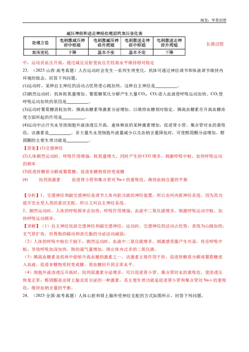 专题20动物生命活动的调节-好题汇编十年（2015-2024）高考生物真题分类汇编（全国通用）（解析版）_生物真题汇总_十年（2014-2024）高考生物真题分项汇编（全国通用）