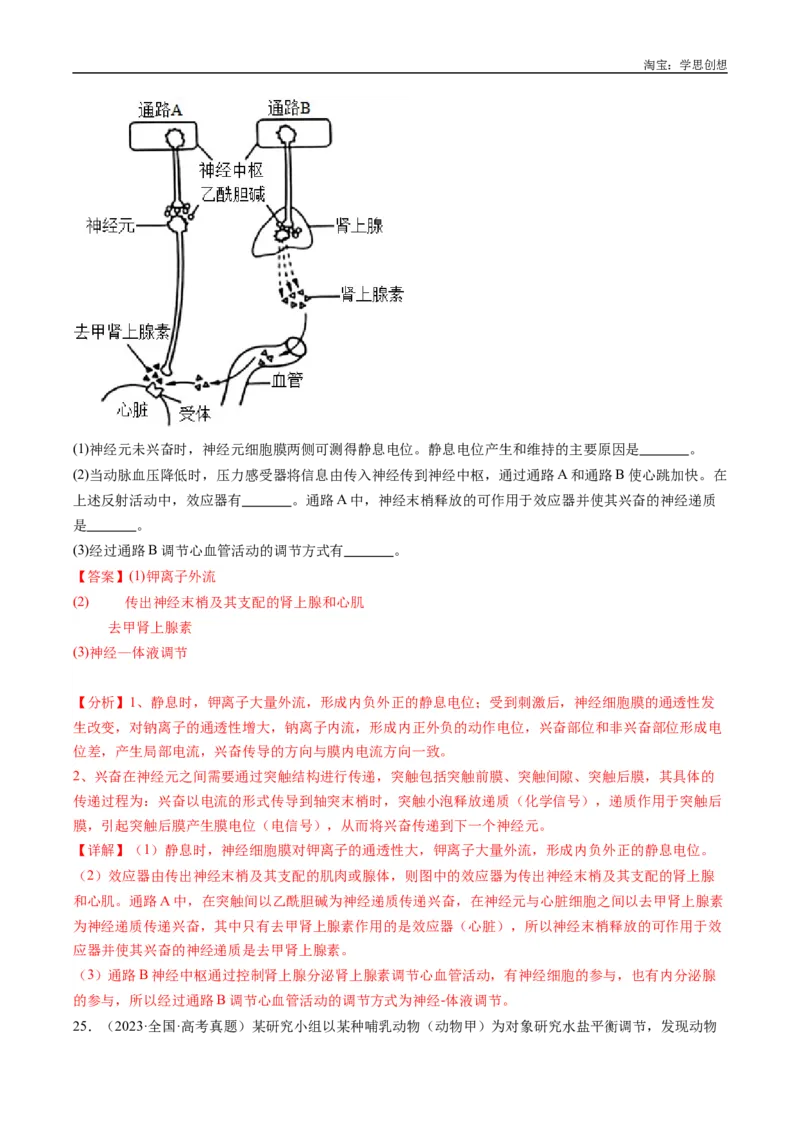 专题20动物生命活动的调节-好题汇编十年（2015-2024）高考生物真题分类汇编（全国通用）（解析版）_生物真题汇总_十年（2014-2024）高考生物真题分项汇编（全国通用）