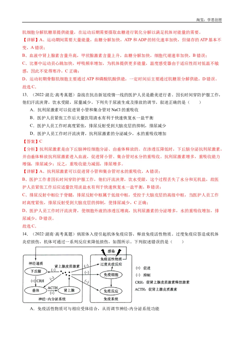 专题20动物生命活动的调节-好题汇编十年（2015-2024）高考生物真题分类汇编（全国通用）（解析版）_生物真题汇总_十年（2014-2024）高考生物真题分项汇编（全国通用）