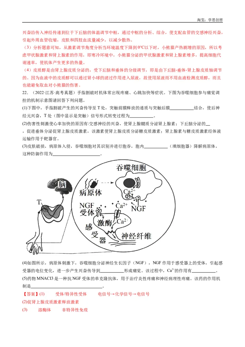 专题20动物生命活动的调节-好题汇编十年（2015-2024）高考生物真题分类汇编（全国通用）（解析版）_生物真题汇总_十年（2014-2024）高考生物真题分项汇编（全国通用）
