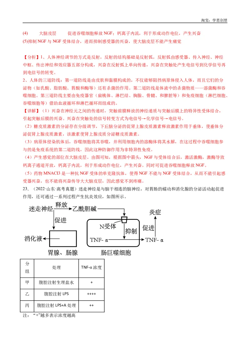 专题20动物生命活动的调节-好题汇编十年（2015-2024）高考生物真题分类汇编（全国通用）（解析版）_生物真题汇总_十年（2014-2024）高考生物真题分项汇编（全国通用）