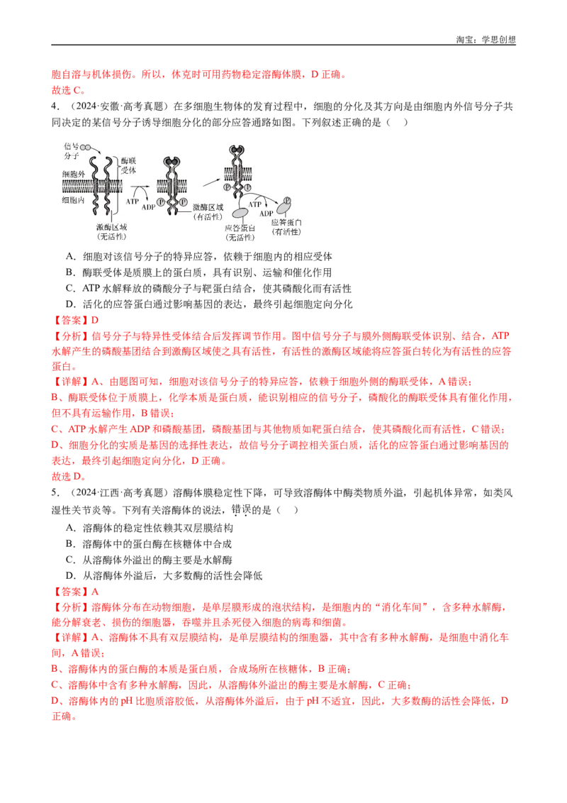 专题04酶和ATP-好题汇编十年（2015-2024）高考生物真题分类汇编（全国通用）（解析版）_生物真题汇总_十年（2014-2024）高考生物真题分项汇编（全国通用）