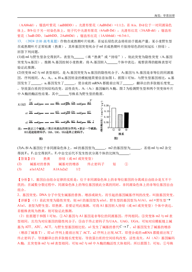 专题12基因的自由组合定律-好题汇编十年（2015-2024）高考生物真题分类汇编（全国通用）（解析版）_生物真题汇总_十年（2014-2024）高考生物真题分项汇编（全国通用）