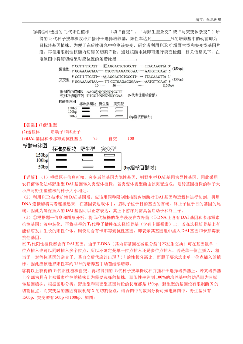 专题12基因的自由组合定律-好题汇编十年（2015-2024）高考生物真题分类汇编（全国通用）（解析版）_生物真题汇总_十年（2014-2024）高考生物真题分项汇编（全国通用）