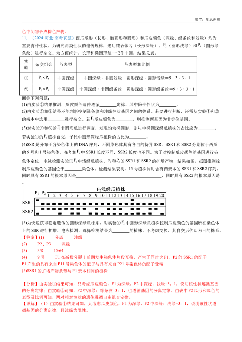 专题12基因的自由组合定律-好题汇编十年（2015-2024）高考生物真题分类汇编（全国通用）（解析版）_生物真题汇总_十年（2014-2024）高考生物真题分项汇编（全国通用）