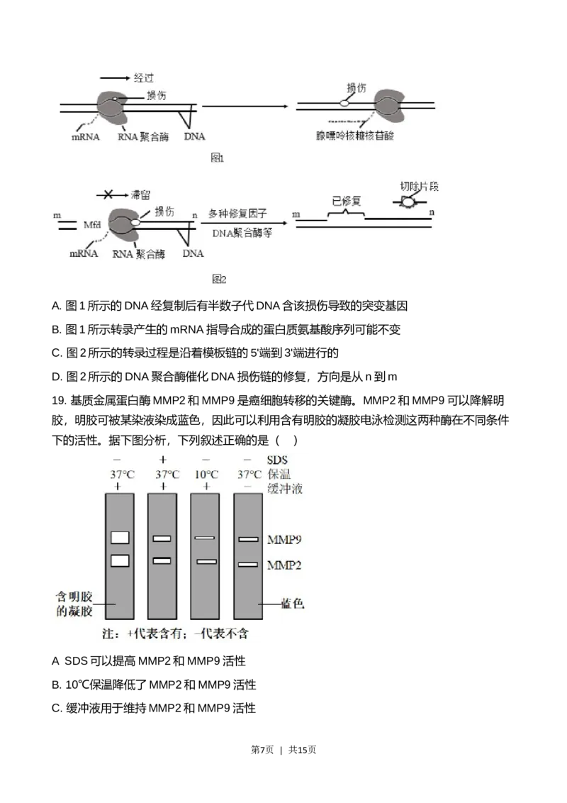 2023年高考生物试卷（辽宁）（答案卷）_生物真题汇总_十年（2014-2024）高考生物真题分项汇编（全国通用）_2008-2024年历年高考生物真题（含解析）_2023&middot;高考生物真题