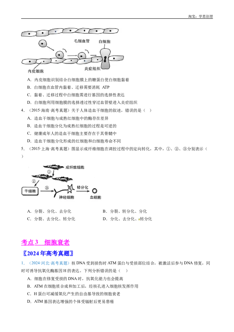 专题09细胞的分化、衰老、凋亡及癌变-好题汇编十年（2015-2024）高考生物真题分项汇编（全国通用）（原卷版）_生物真题汇总_十年（2014-2024）高考生物真题分项汇编（全国通用）