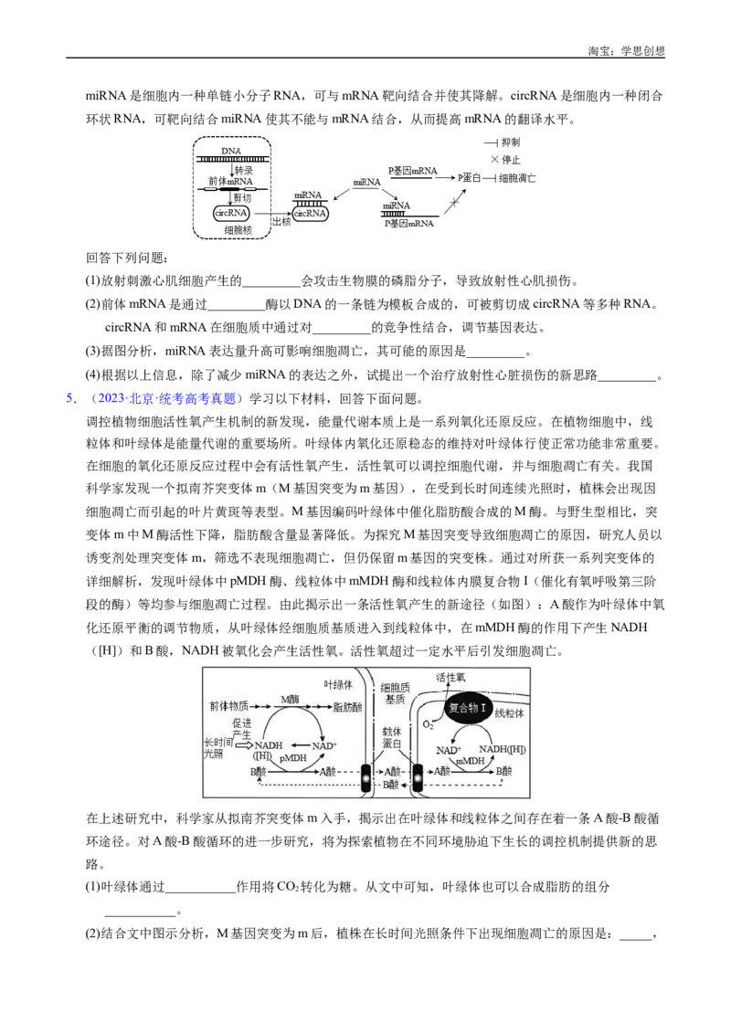 专题09细胞的分化、衰老、凋亡及癌变-好题汇编十年（2015-2024）高考生物真题分项汇编（全国通用）（原卷版）_生物真题汇总_十年（2014-2024）高考生物真题分项汇编（全国通用）