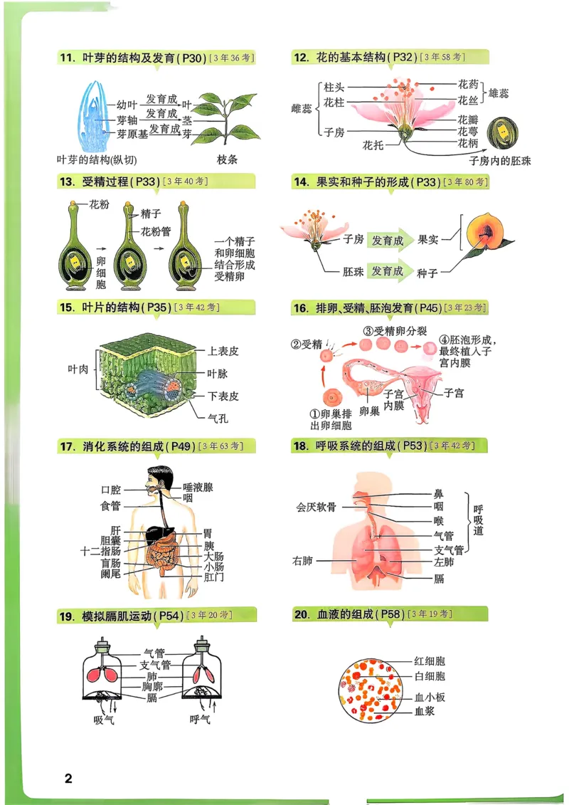 生物_万唯中考《初中中考训练方案&middot;2026版(全九科)》