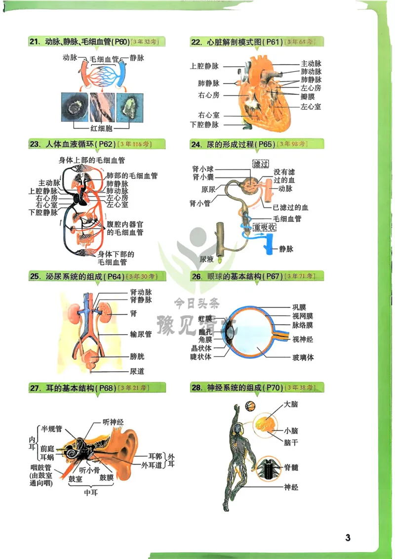 生物_万唯中考《初中中考训练方案&middot;2026版(全九科)》