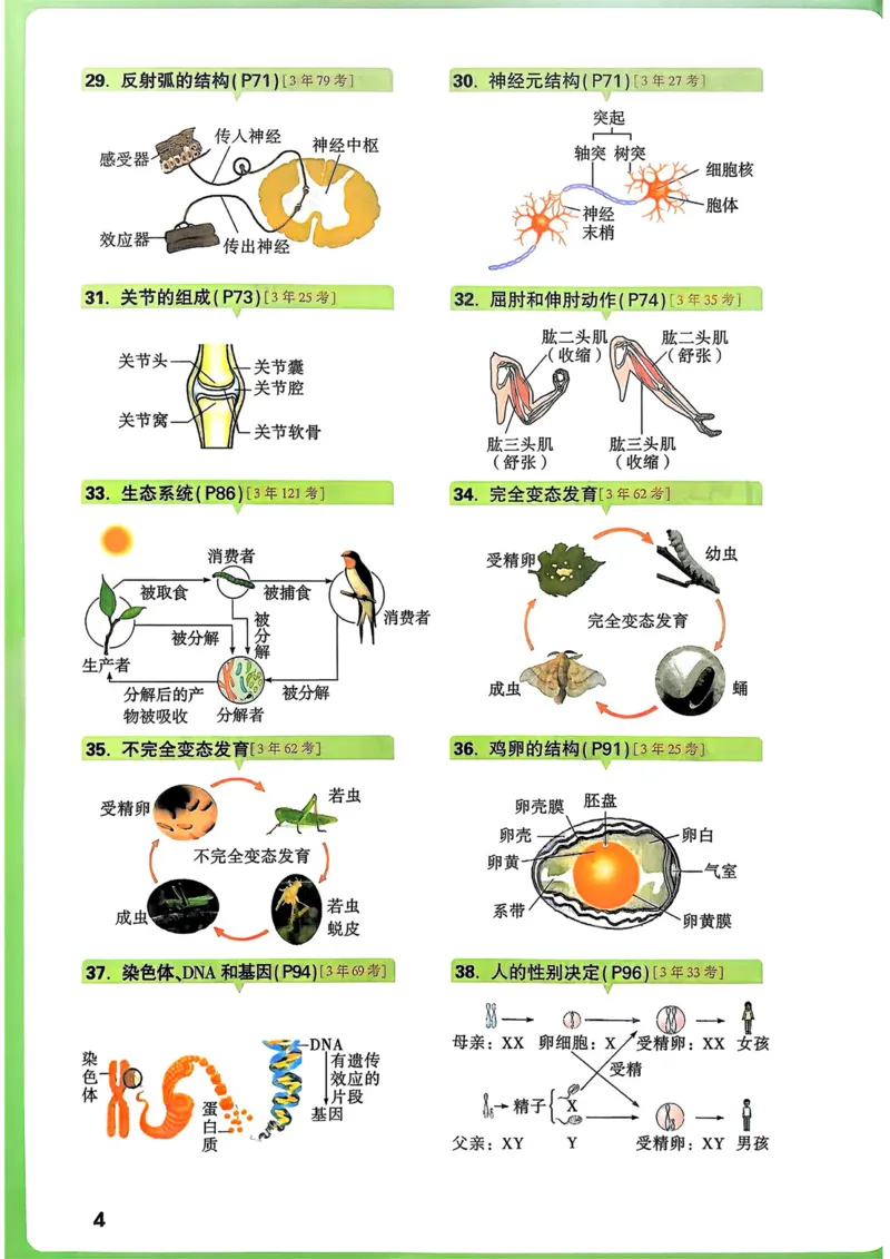 生物_万唯中考《初中中考训练方案&middot;2026版(全九科)》
