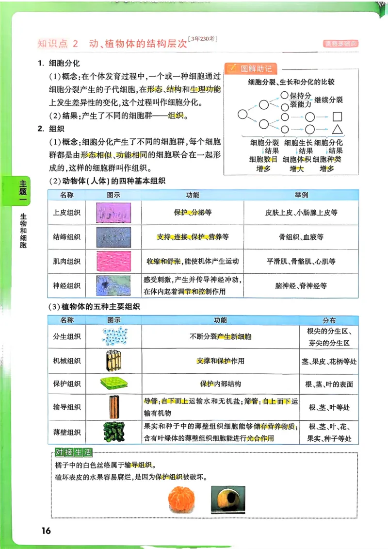 生物_万唯中考《初中中考训练方案&middot;2026版(全九科)》