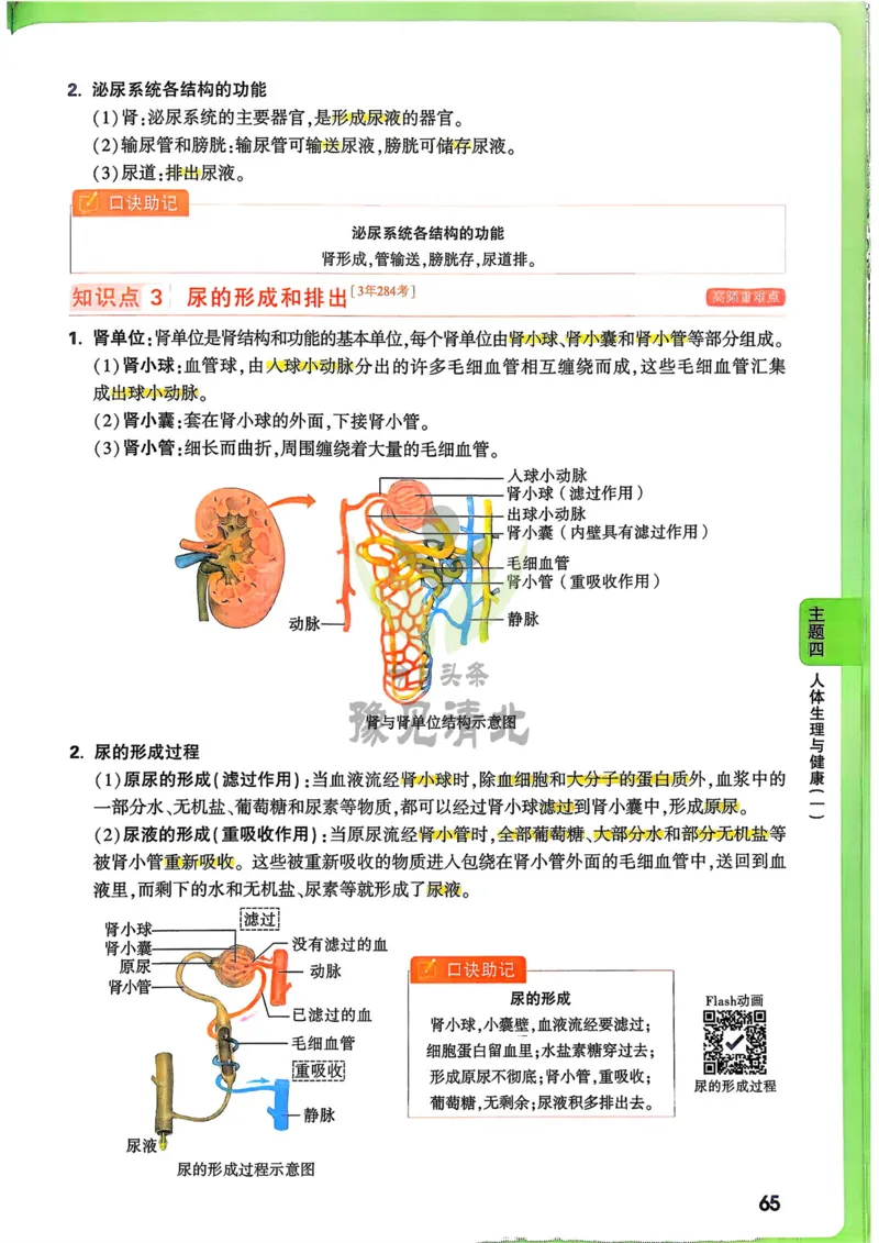 生物_万唯中考《初中中考训练方案&middot;2026版(全九科)》