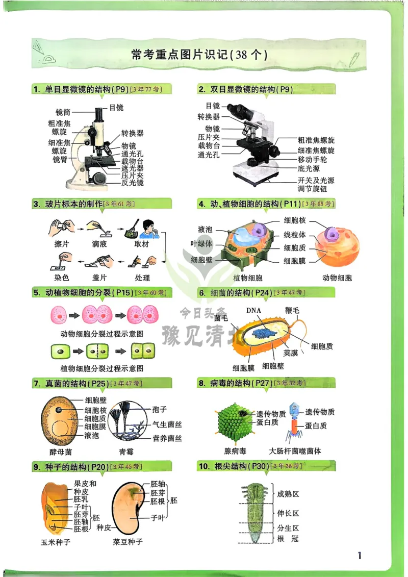 生物_万唯中考《初中中考训练方案&middot;2026版(全九科)》