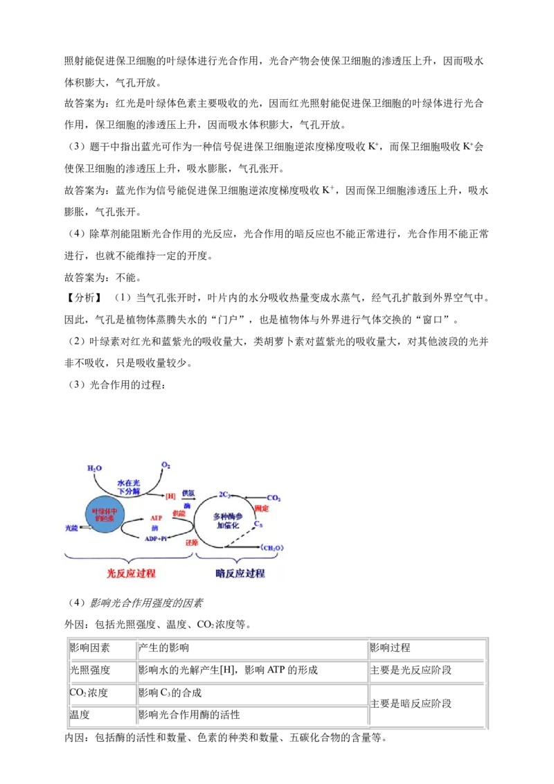 专题05呼吸作用（答案解析）_生物真题汇总_&radic;近三年（2023-2025）高考生物真题分专项精编_答案解析