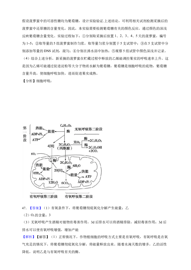 专题05呼吸作用（答案解析）_生物真题汇总_&radic;近三年（2023-2025）高考生物真题分专项精编_答案解析