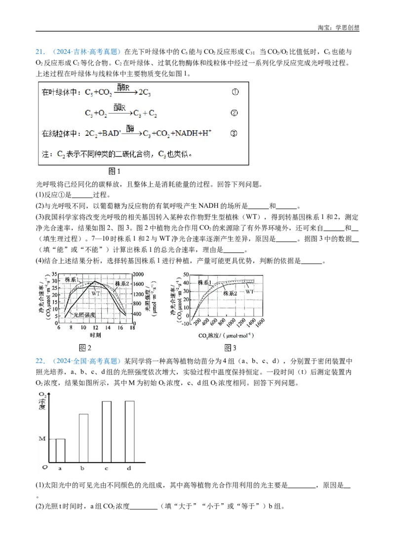 专题06光合作用-好题汇编十年（2015-2024）高考生物真题分类汇编（全国通用）（原卷版）_生物真题汇总_十年（2014-2024）高考生物真题分项汇编（全国通用）