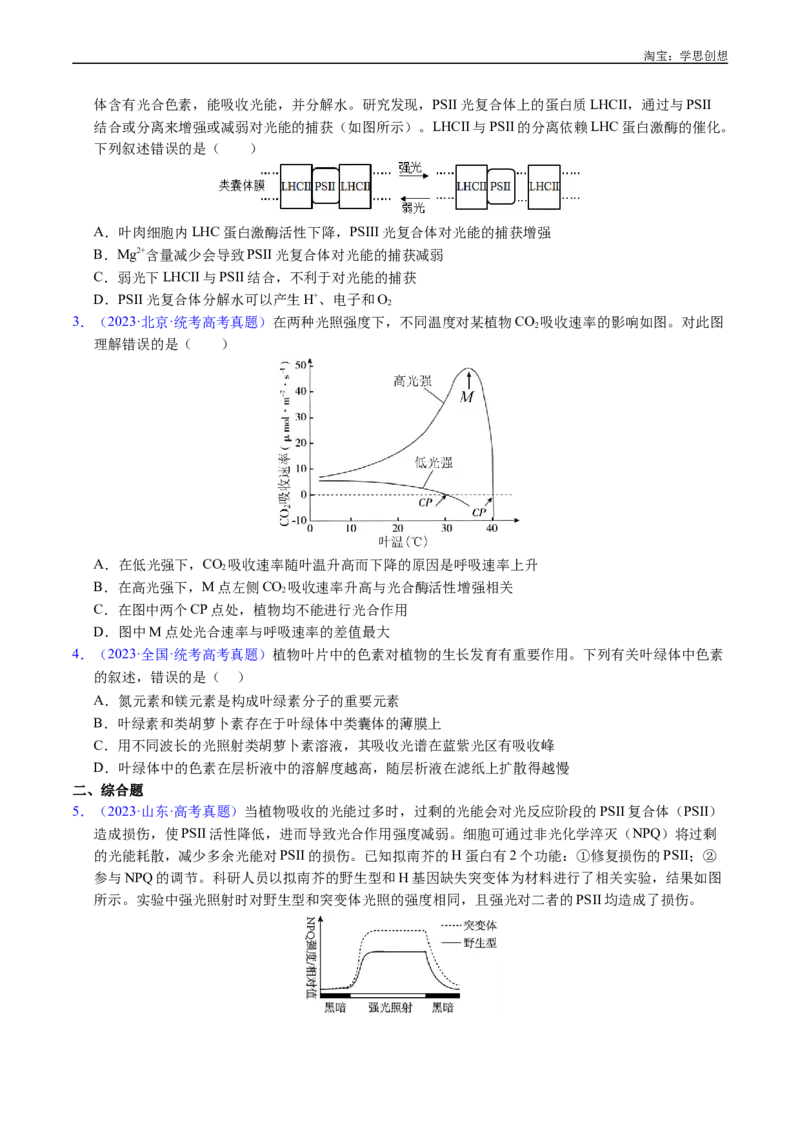 专题06光合作用-好题汇编十年（2015-2024）高考生物真题分类汇编（全国通用）（原卷版）_生物真题汇总_十年（2014-2024）高考生物真题分项汇编（全国通用）