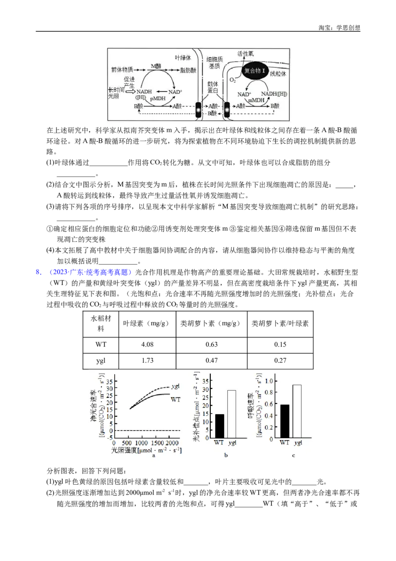 专题06光合作用-好题汇编十年（2015-2024）高考生物真题分类汇编（全国通用）（原卷版）_生物真题汇总_十年（2014-2024）高考生物真题分项汇编（全国通用）