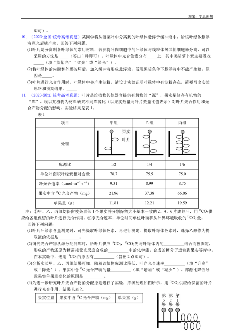 专题06光合作用-好题汇编十年（2015-2024）高考生物真题分类汇编（全国通用）（原卷版）_生物真题汇总_十年（2014-2024）高考生物真题分项汇编（全国通用）