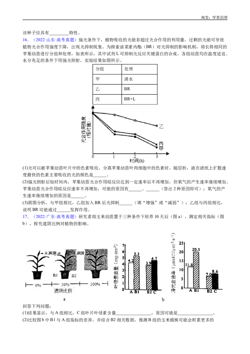 专题06光合作用-好题汇编十年（2015-2024）高考生物真题分类汇编（全国通用）（原卷版）_生物真题汇总_十年（2014-2024）高考生物真题分项汇编（全国通用）