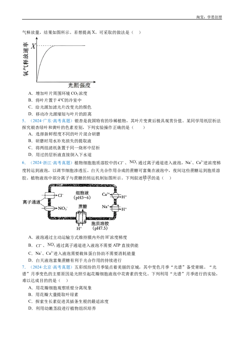 专题06光合作用-好题汇编十年（2015-2024）高考生物真题分类汇编（全国通用）（原卷版）_生物真题汇总_十年（2014-2024）高考生物真题分项汇编（全国通用）