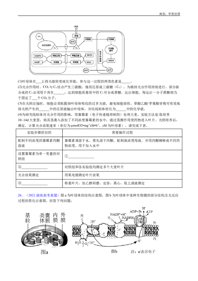 专题06光合作用-好题汇编十年（2015-2024）高考生物真题分类汇编（全国通用）（原卷版）_生物真题汇总_十年（2014-2024）高考生物真题分项汇编（全国通用）