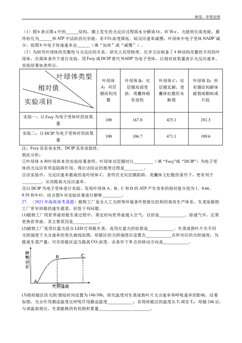 专题06光合作用-好题汇编十年（2015-2024）高考生物真题分类汇编（全国通用）（原卷版）_生物真题汇总_十年（2014-2024）高考生物真题分项汇编（全国通用）