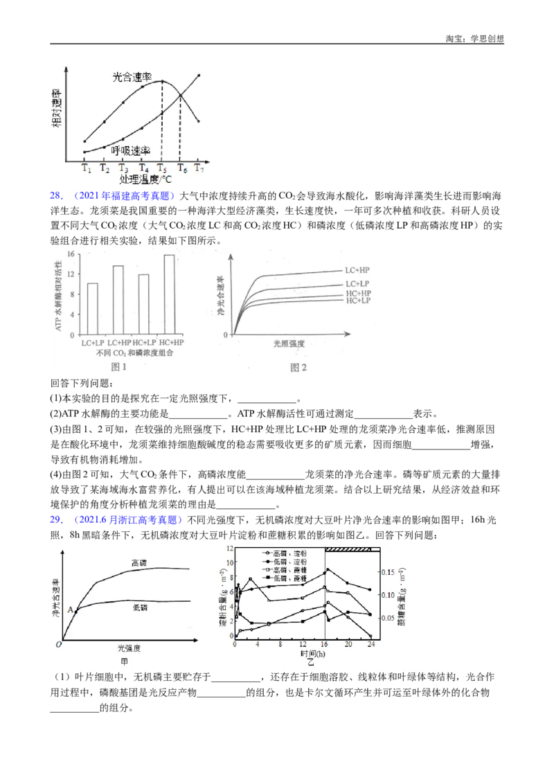 专题06光合作用-好题汇编十年（2015-2024）高考生物真题分类汇编（全国通用）（原卷版）_生物真题汇总_十年（2014-2024）高考生物真题分项汇编（全国通用）