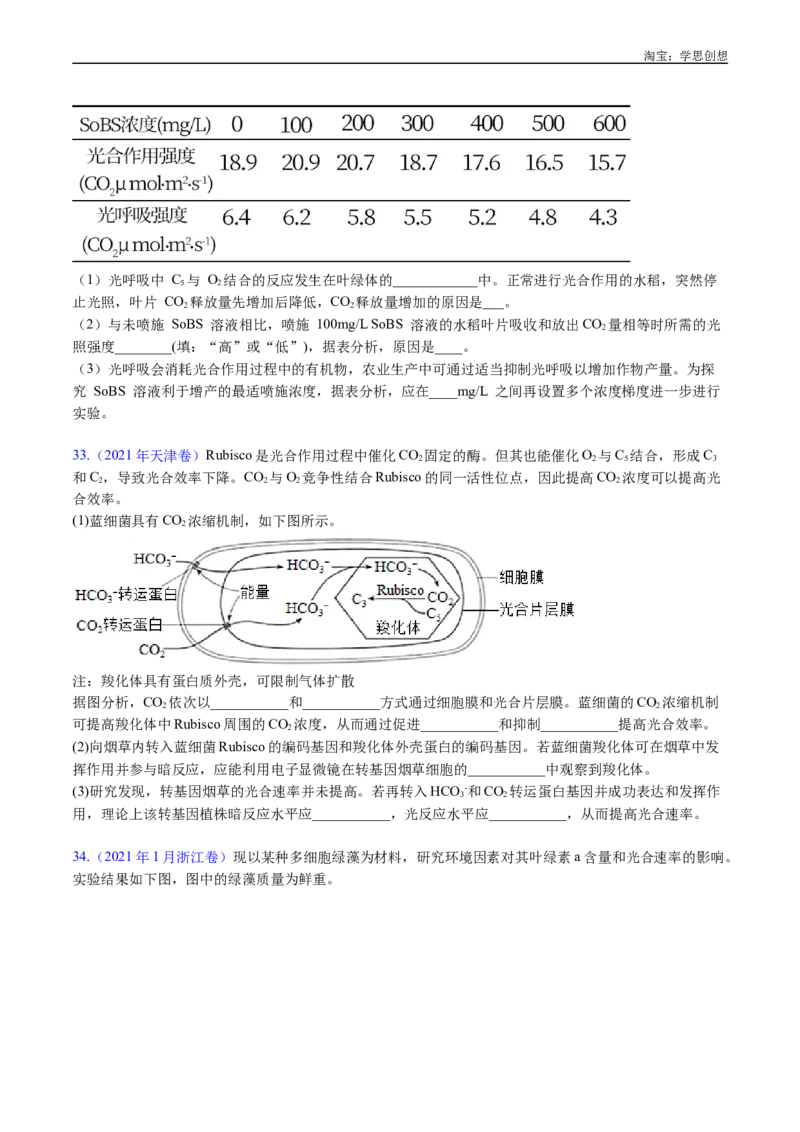 专题06光合作用-好题汇编十年（2015-2024）高考生物真题分类汇编（全国通用）（原卷版）_生物真题汇总_十年（2014-2024）高考生物真题分项汇编（全国通用）