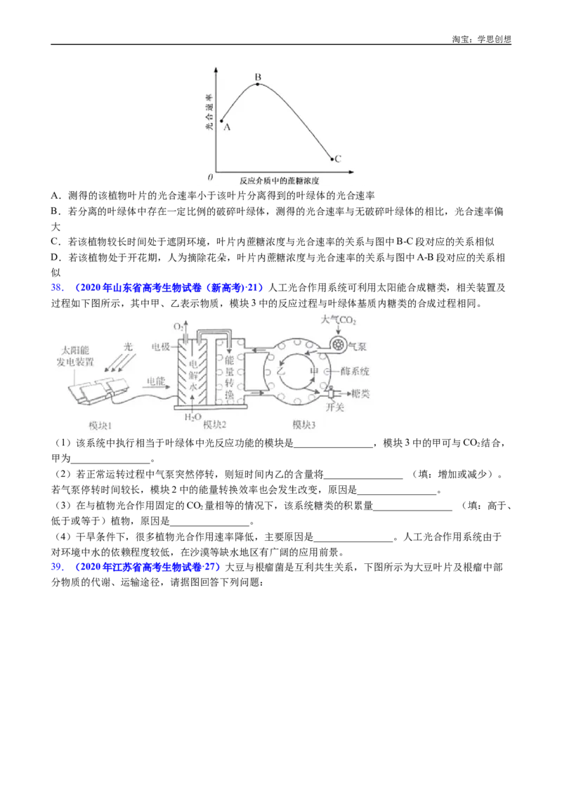 专题06光合作用-好题汇编十年（2015-2024）高考生物真题分类汇编（全国通用）（原卷版）_生物真题汇总_十年（2014-2024）高考生物真题分项汇编（全国通用）