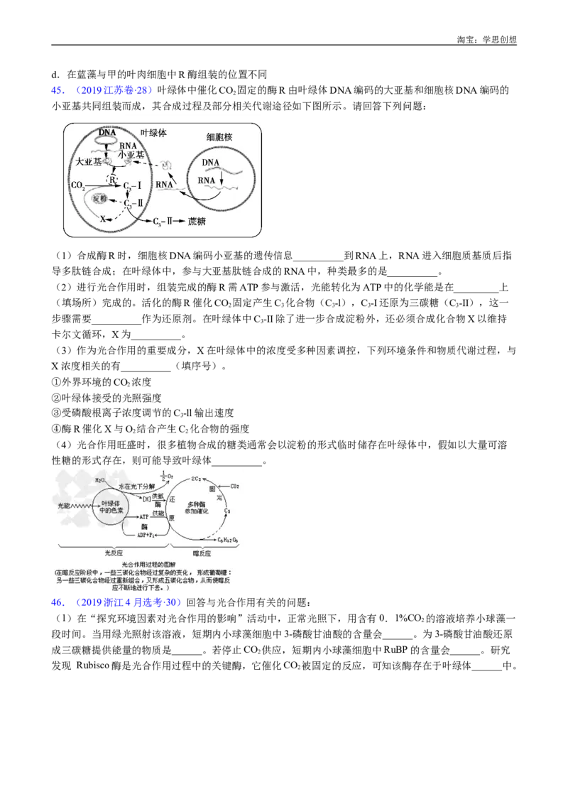 专题06光合作用-好题汇编十年（2015-2024）高考生物真题分类汇编（全国通用）（原卷版）_生物真题汇总_十年（2014-2024）高考生物真题分项汇编（全国通用）