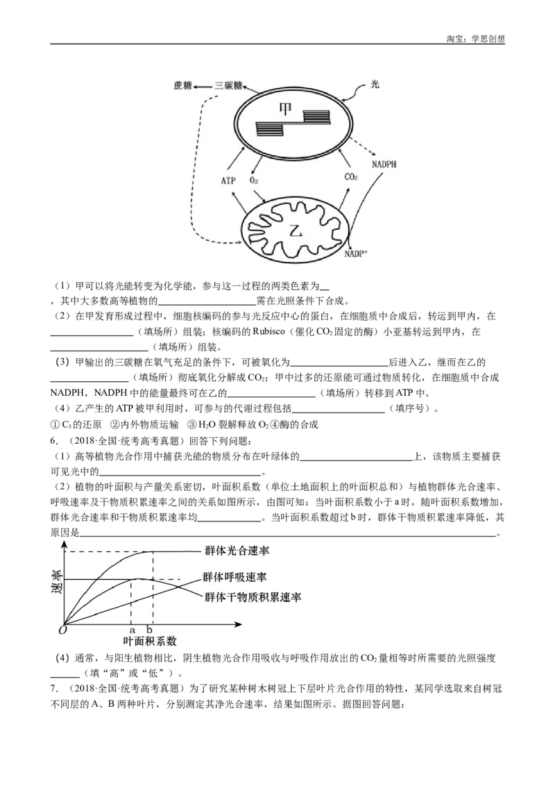 专题06光合作用-好题汇编十年（2015-2024）高考生物真题分类汇编（全国通用）（原卷版）_生物真题汇总_十年（2014-2024）高考生物真题分项汇编（全国通用）