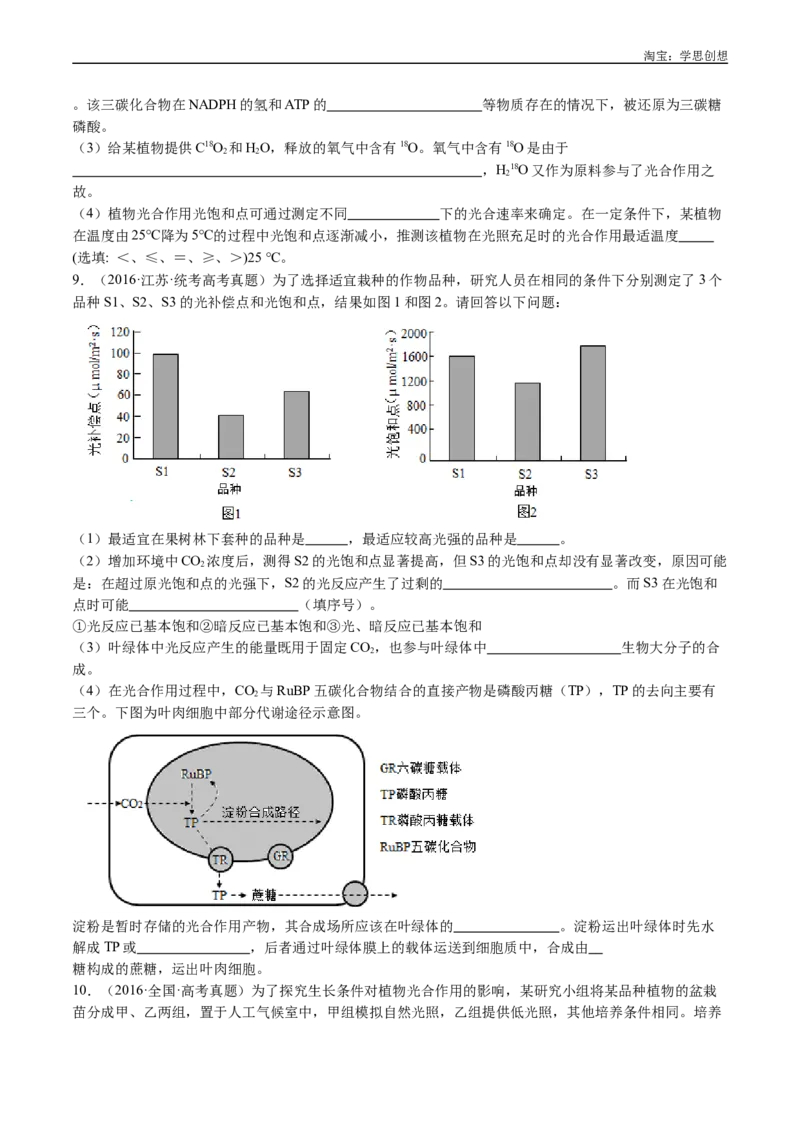 专题06光合作用-好题汇编十年（2015-2024）高考生物真题分类汇编（全国通用）（原卷版）_生物真题汇总_十年（2014-2024）高考生物真题分项汇编（全国通用）