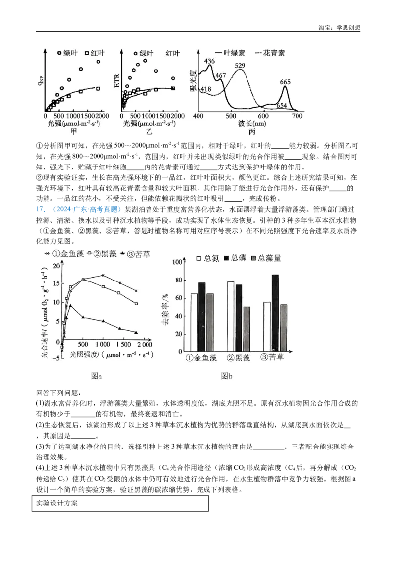 专题06光合作用-好题汇编十年（2015-2024）高考生物真题分类汇编（全国通用）（原卷版）_生物真题汇总_十年（2014-2024）高考生物真题分项汇编（全国通用）