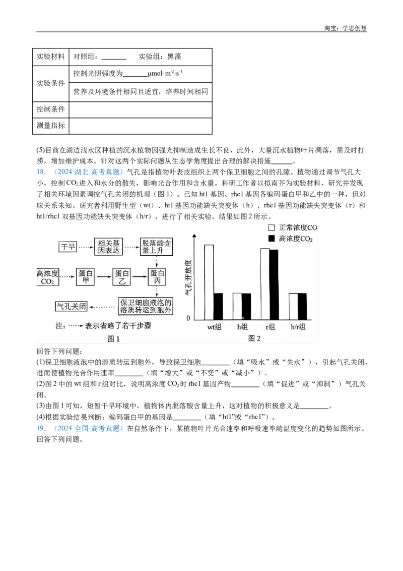 专题06光合作用-好题汇编十年（2015-2024）高考生物真题分类汇编（全国通用）（原卷版）_生物真题汇总_十年（2014-2024）高考生物真题分项汇编（全国通用）