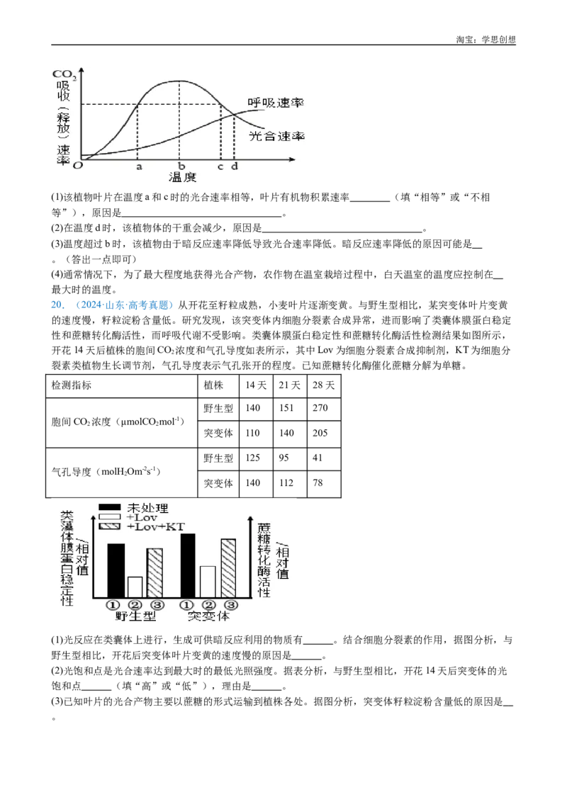 专题06光合作用-好题汇编十年（2015-2024）高考生物真题分类汇编（全国通用）（原卷版）_生物真题汇总_十年（2014-2024）高考生物真题分项汇编（全国通用）