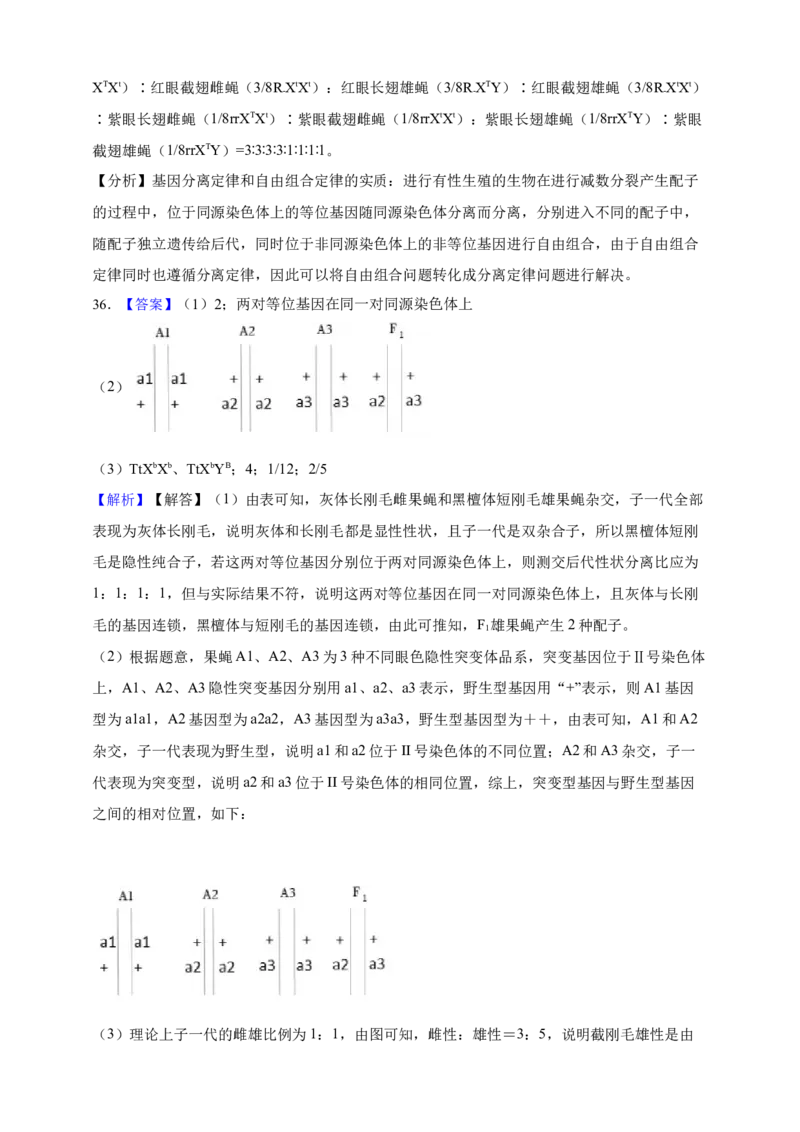 专题11孟德尔定律（答案解析）_生物真题汇总_&radic;近三年（2023-2025）高考生物真题分专项精编_答案解析