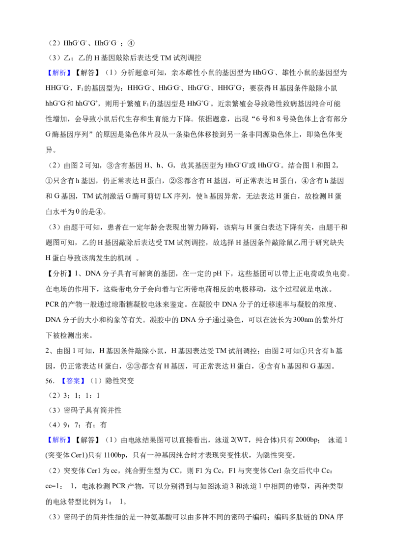 专题11孟德尔定律（答案解析）_生物真题汇总_&radic;近三年（2023-2025）高考生物真题分专项精编_答案解析
