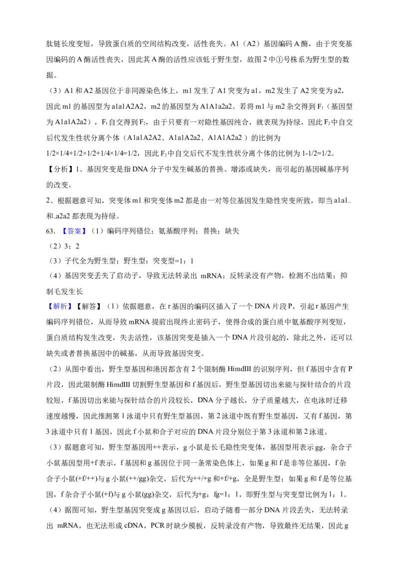 专题11孟德尔定律（答案解析）_生物真题汇总_&radic;近三年（2023-2025）高考生物真题分专项精编_答案解析