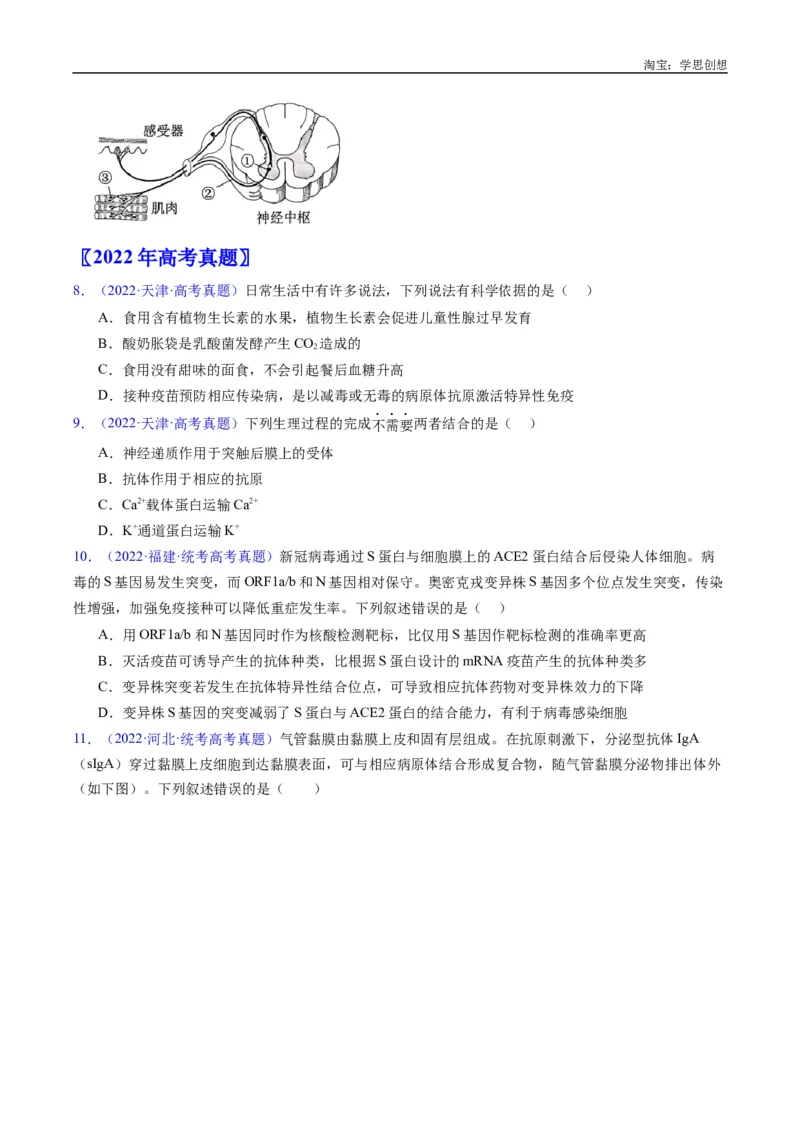 专题19免疫调节-好题汇编十年（2015-2024）高考生物真题分类汇编（全国通用）（原卷版）_生物真题汇总_十年（2014-2024）高考生物真题分项汇编（全国通用）